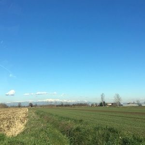 Meet your Posher, Mihir